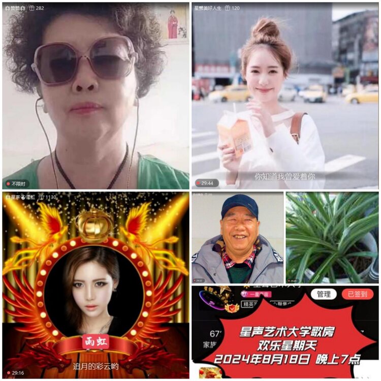 无言🎤V娱热点