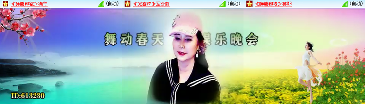 无言🎤V娱热点