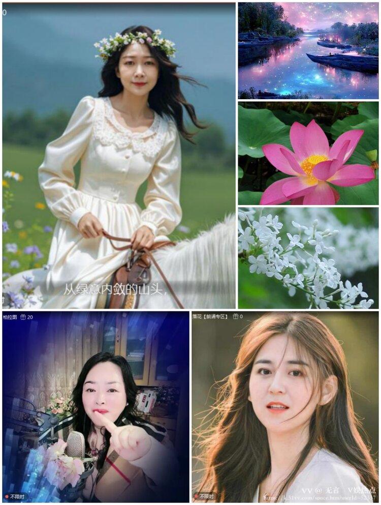 无言🎤V娱热点