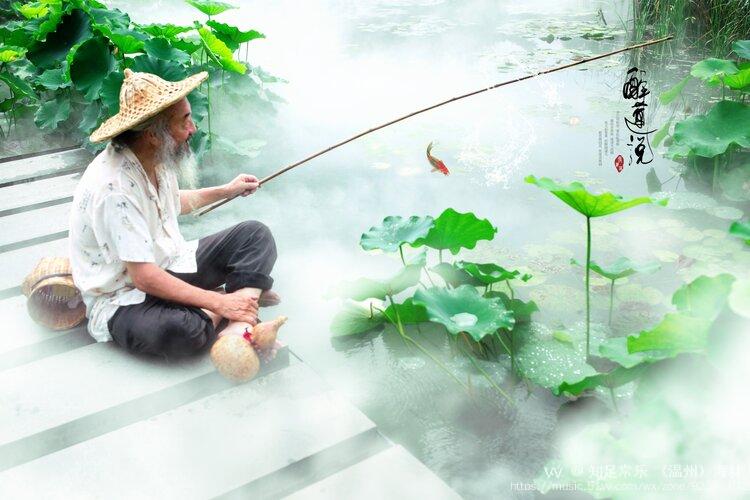 老翁独钓醉夏莲