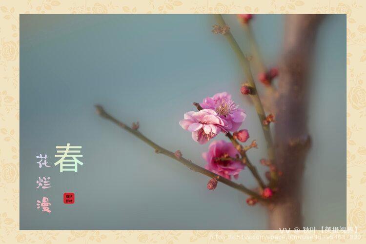 秋叶【美摄视界】