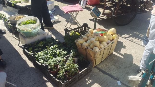 雪儿🎤V娱热点