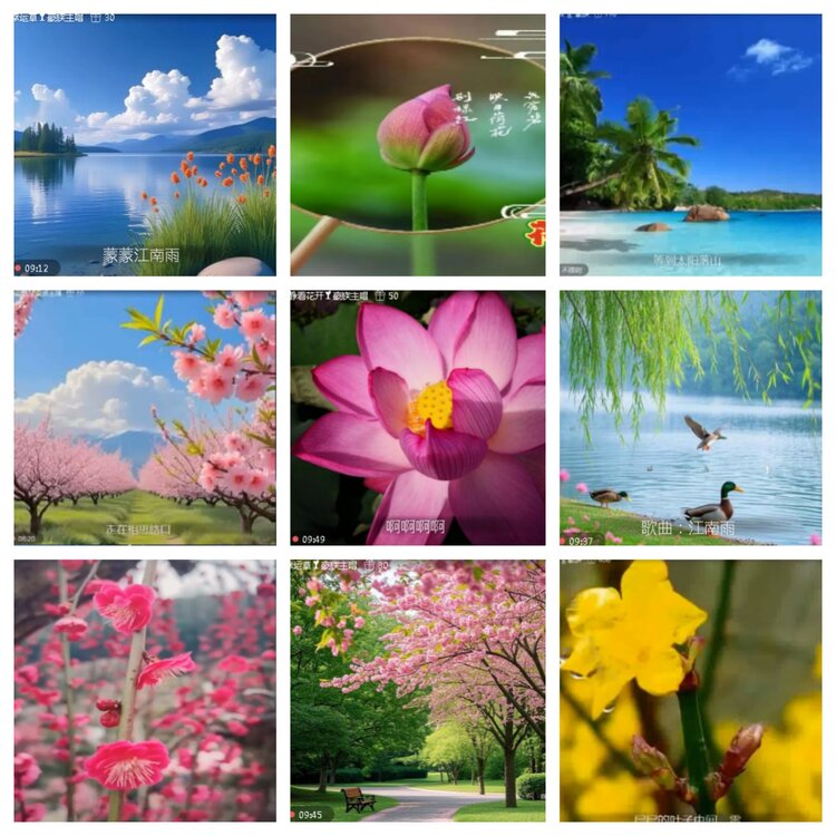 小浅🎤V娱热点