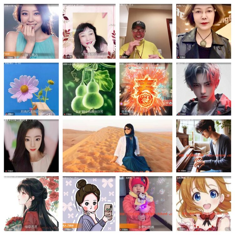 海燕🎤V娱热点