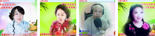 海燕🎤V娱热点