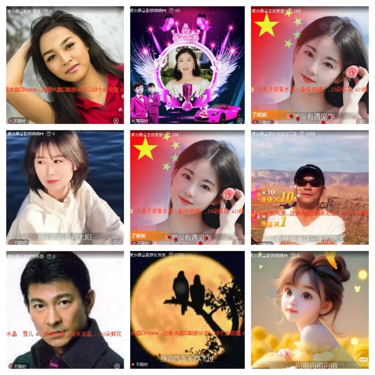 海燕🎤V娱热点