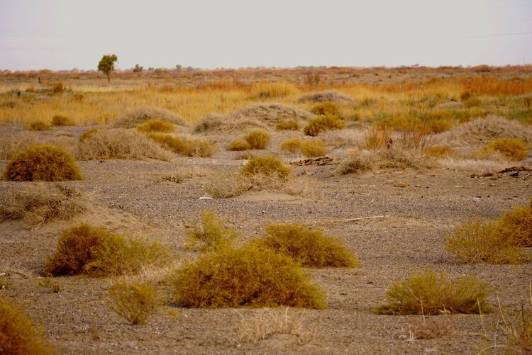 一空万有【美摄视界】