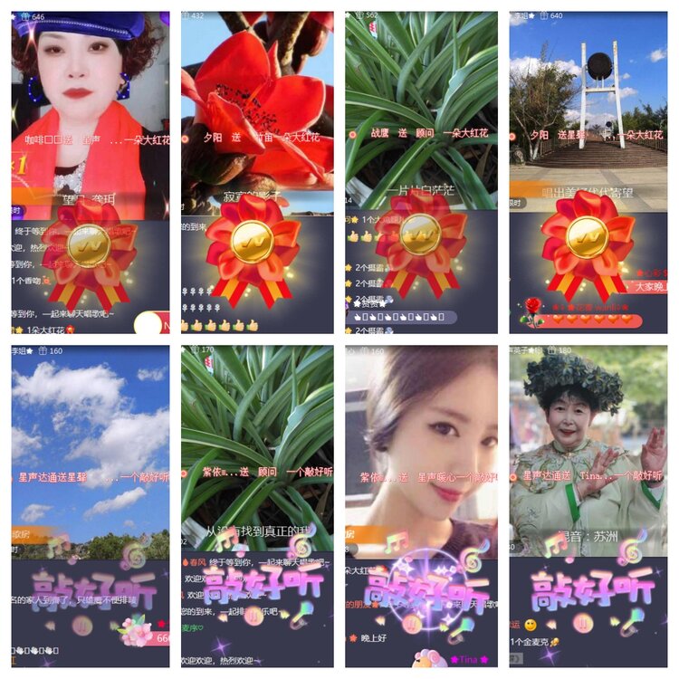 海燕🎤V娱热点