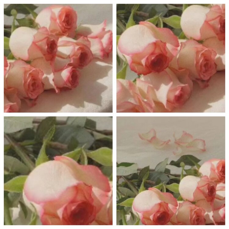 苏苏🎤V娱热点