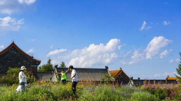 雪儿🎤V娱热点