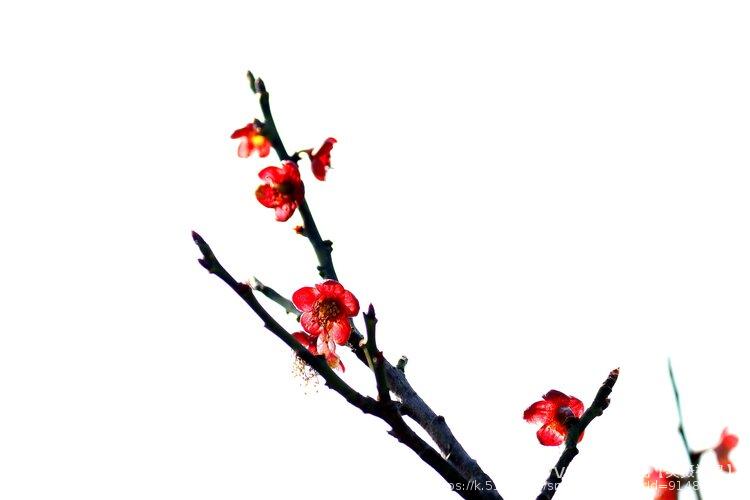 九月鹰飞【美摄视界】