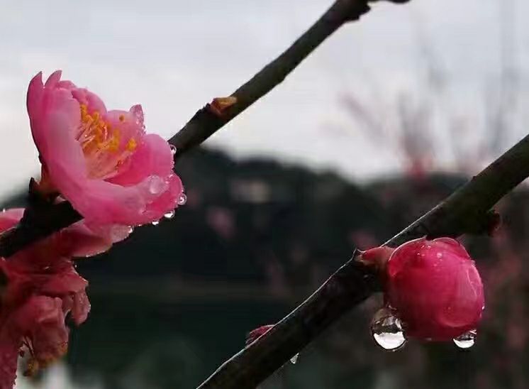 曾经🎤V娱热点