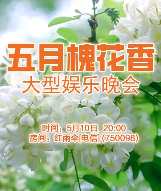 金武🎤V娱热点