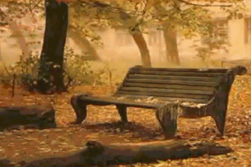 500_333gif 动态图 动图