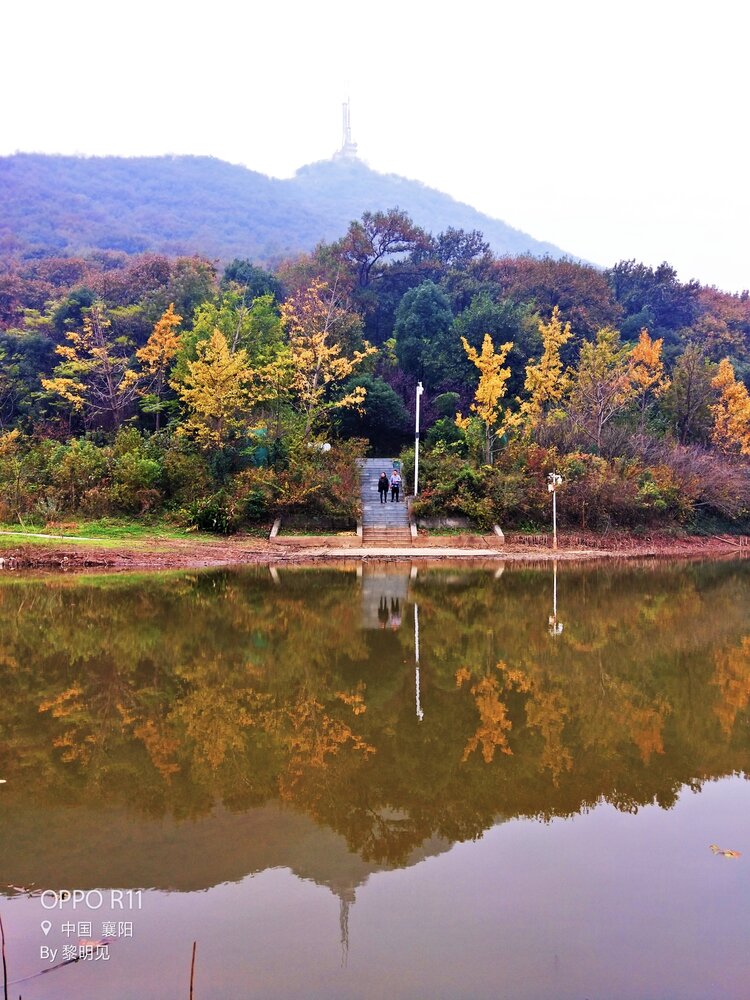 襄阳岘山森林公园图片