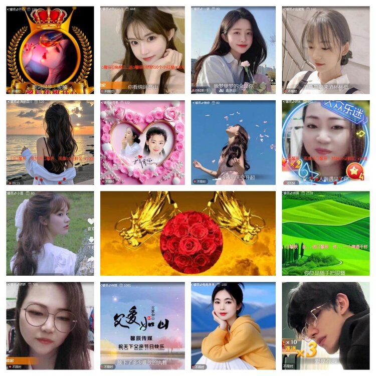 海燕🎤V娱热点