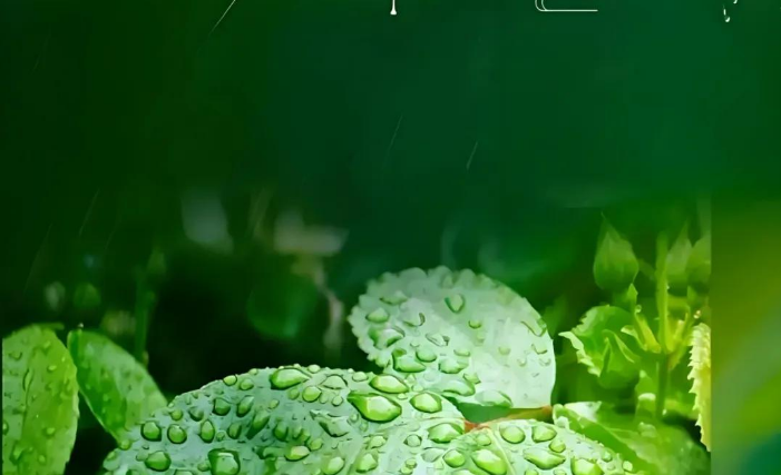 小浅🎤V娱热点