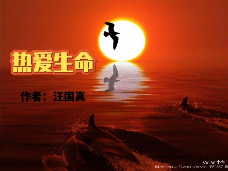 热爱生命作者汪国真