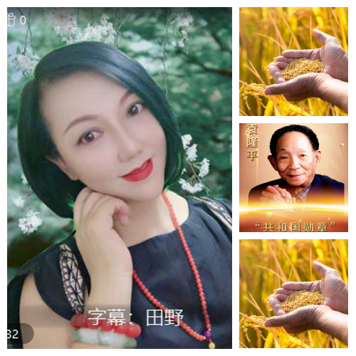 芯薇🎤V娱热点