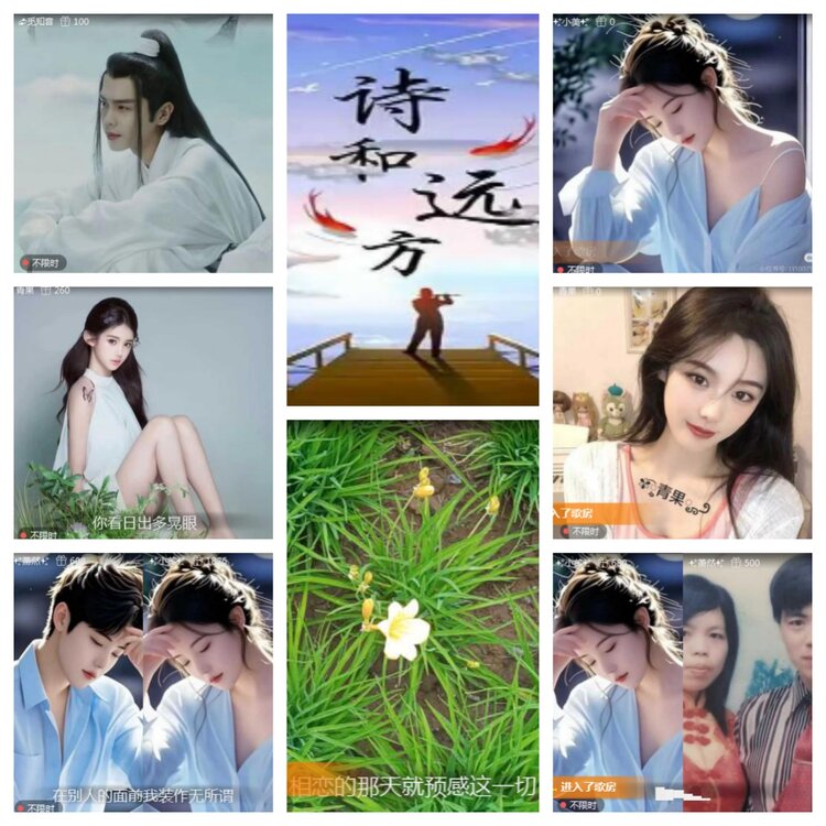 海燕🎤V娱热点