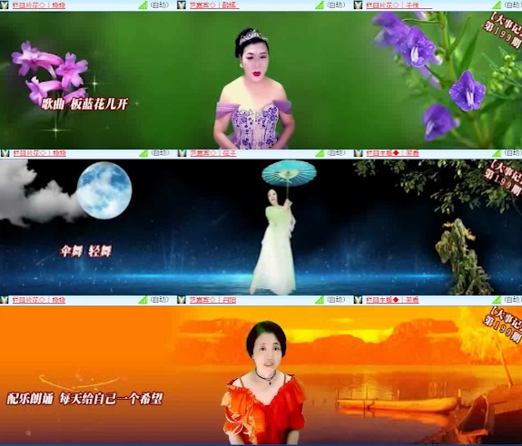 海燕🎤V娱热点