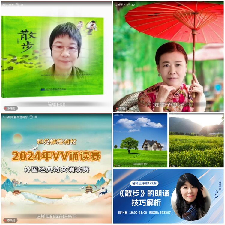 无言🎤V娱热点