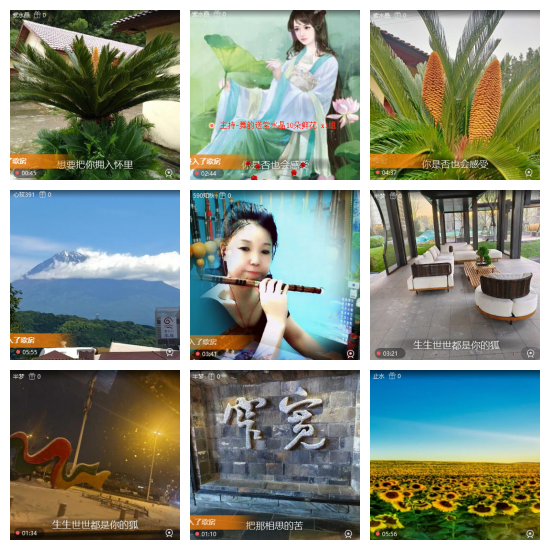 芯薇🎤V娱热点