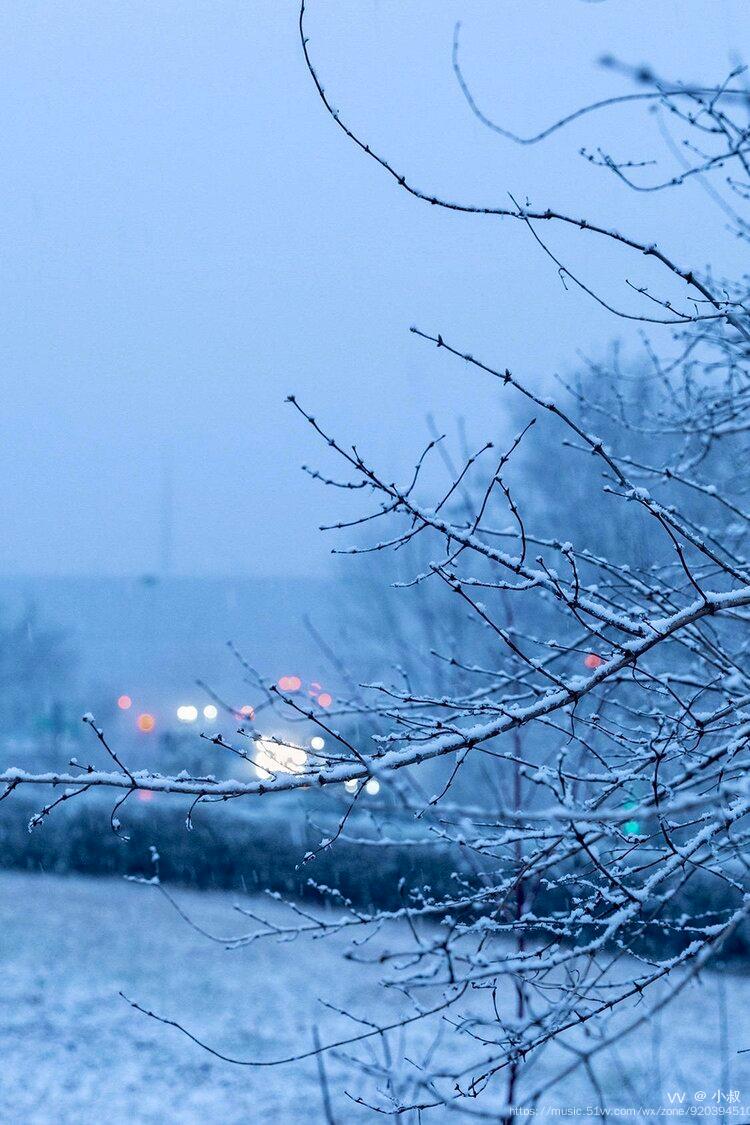 飘雪图片真实 风景图片