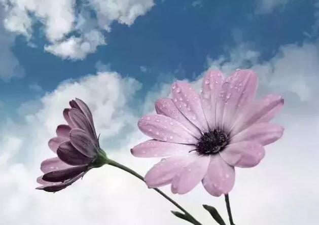 曾经🎤V娱热点