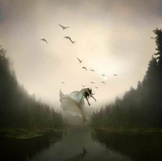 曾经🎤V娱热点