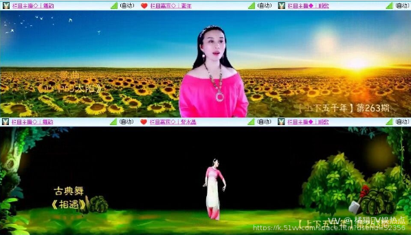 橘猫🎤V娱热点