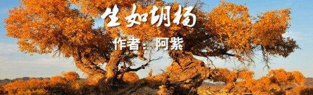 云朵