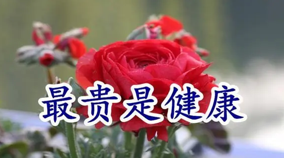 雪儿🎤V娱热点