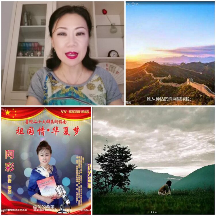 无言🎤V娱热点