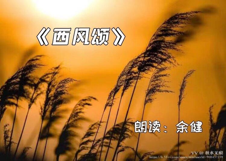 秋水无痕