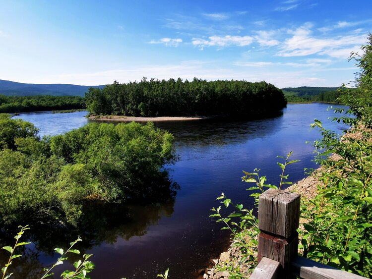 中国内蒙古61满归