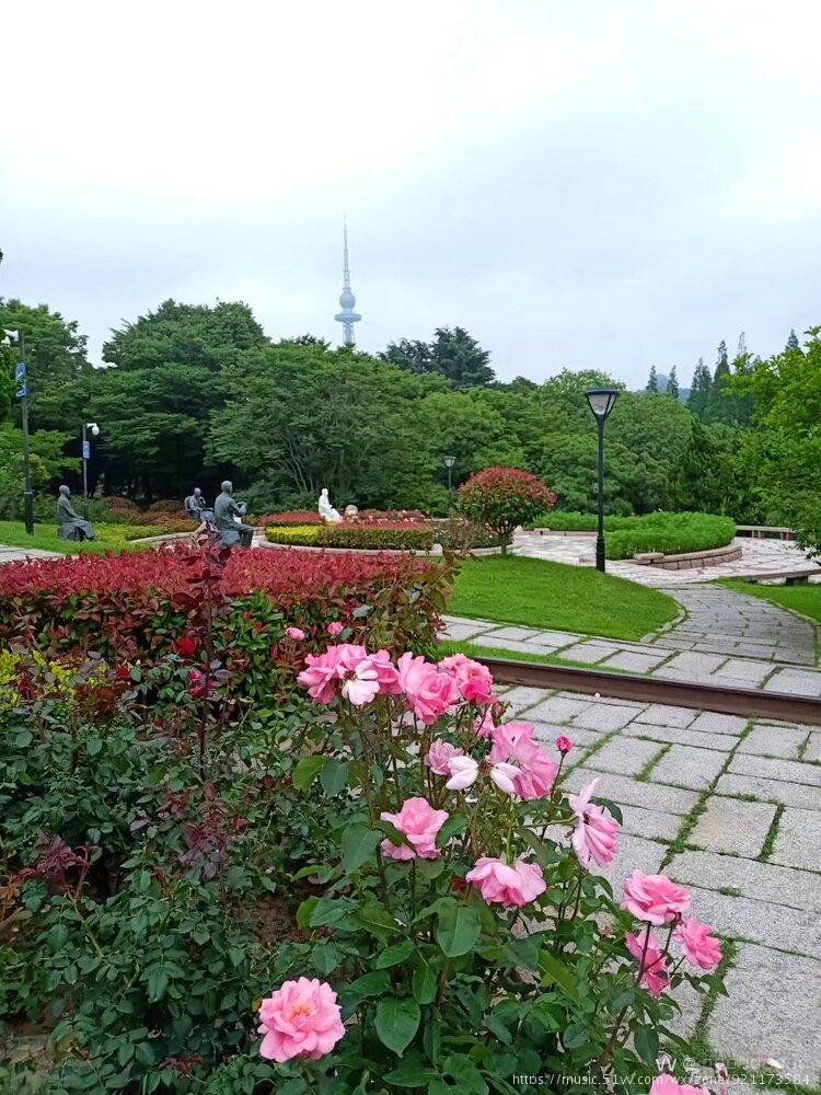 百花苑 百花苑背依青岛山,前邻中山公园,占地8.
