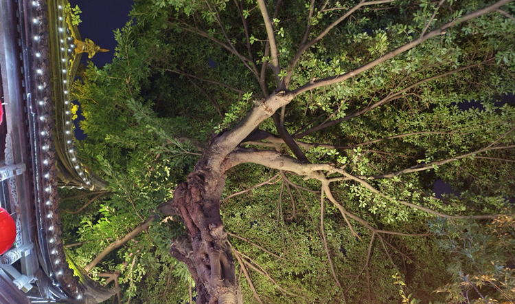 雪儿🎤V娱热点