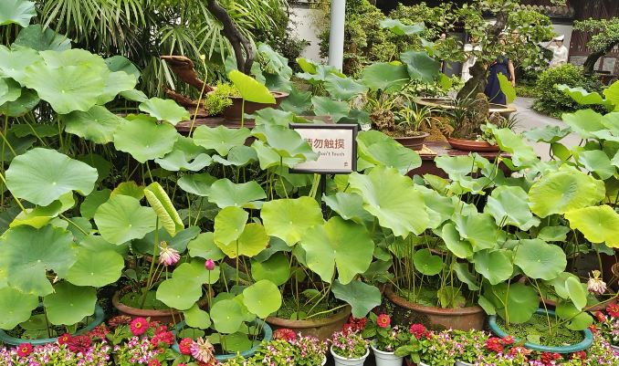 雪儿🎤V娱热点