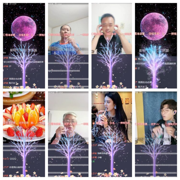 海燕🎤V娱热点