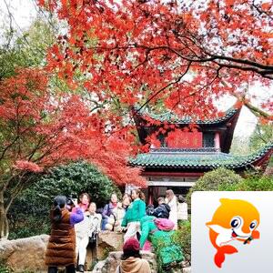 东方木:【首发】爱晚亭前那抹艳色 - VV