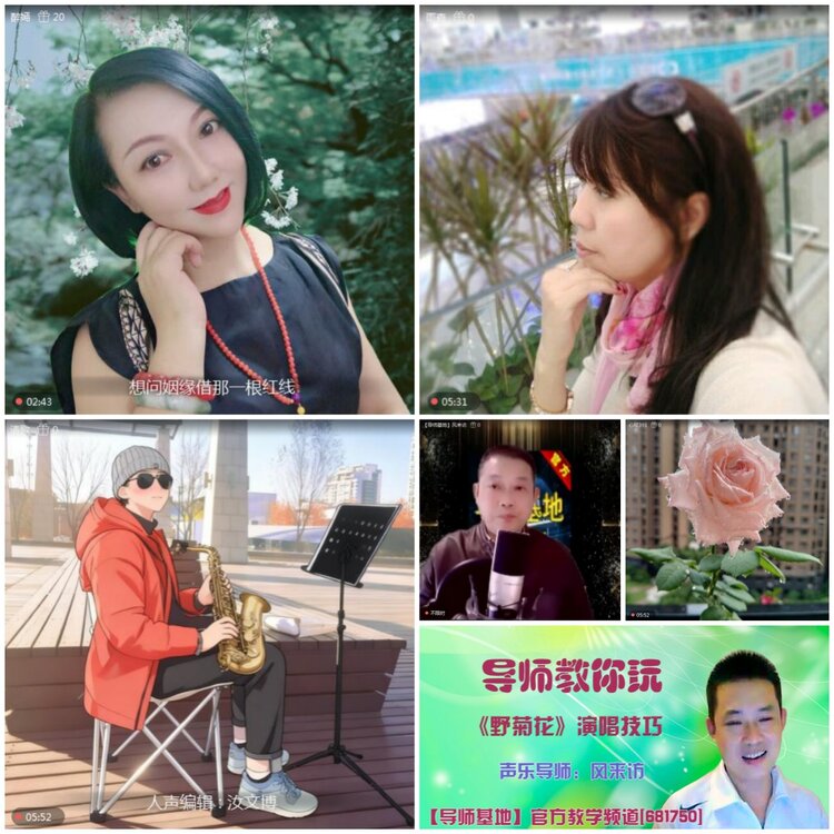 无言🎤V娱热点