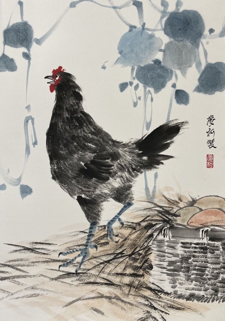 珍藏大鹏教育教程图集二