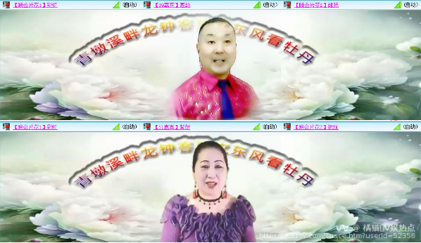 橘猫🎤V娱热点