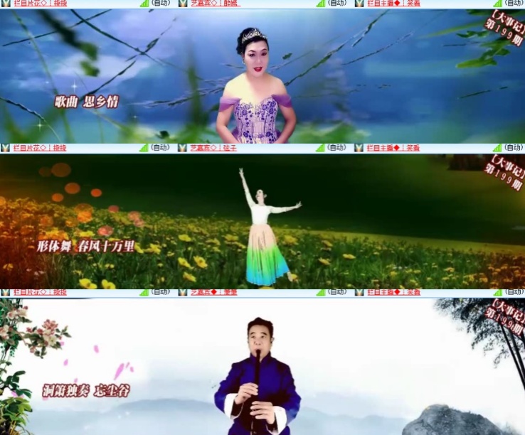 海燕🎤V娱热点