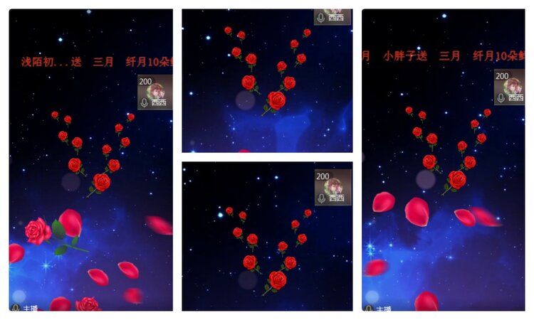 海燕🎤V娱热点