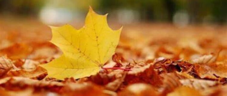 曾经🎤V娱热点