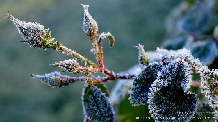 暮雪寒冬