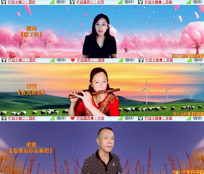 海燕🎤V娱热点