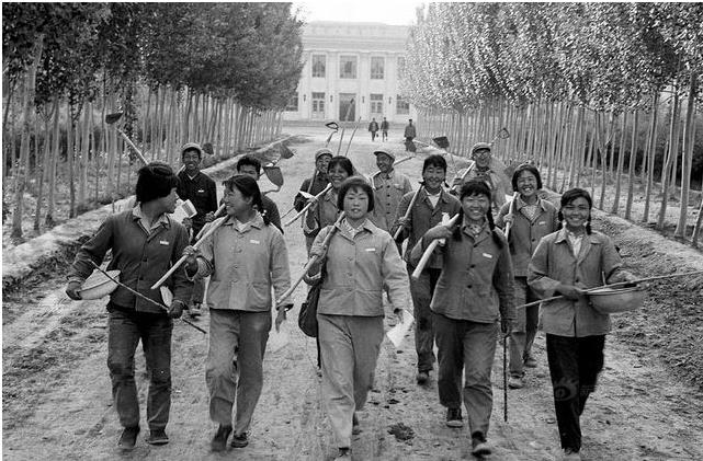 《八千湘女上天山》 作者:惠天印 诵读:林桂花 配乐:q^q